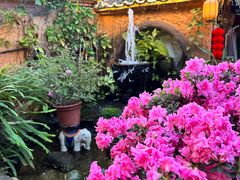 -园林美食城·本土农家菜(杨和镇店)