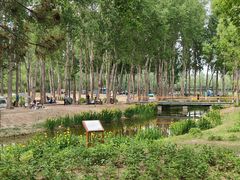-东郊湿地公园