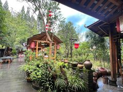 -青城甲(青城山店)