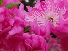 -长春公园(普阳街道)