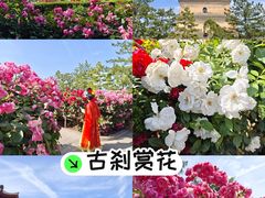 -大慈恩寺(大雁塔)