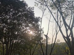 -重庆园博园