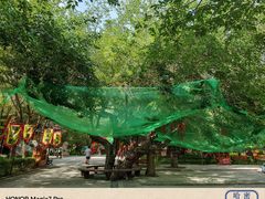 -哈密回王府景区