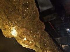 -顶特勒·黄鱼馆·特色菜(上海大世界店)