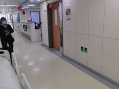 -上海和平饭店龙凤厅 Dragon Phoenix