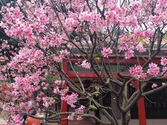 -宝墨园景区