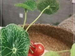 -飞虹鱼馆(春华路店)