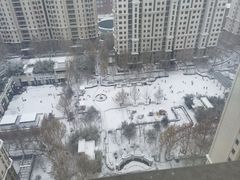 -蓝莓果幼儿园(通州梨园店)