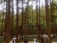 -日照世帆赛基地