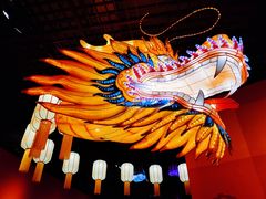 -河北博物院