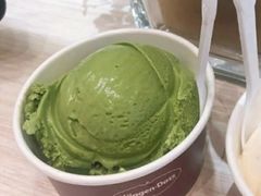 哈根达斯迷你杯-哈根达斯(烟台振华店)