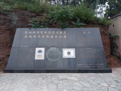 -磬锤峰森林公园