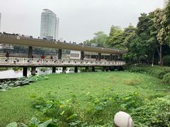 -荔湾湖公园