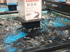 水产区-盒马鲜生(曜一城店)