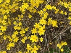 -济南国际园博园