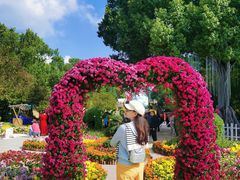 -南山植物园