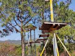 -天适樱花悠乐园