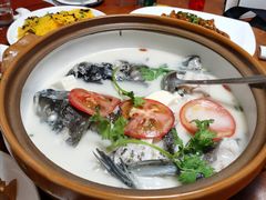 -全乐鱼馆·淳牌有机鱼直营店