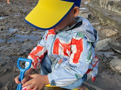 -南汇嘴观海公园