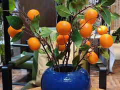 -了凡国风主题茶馆·咖啡(武侯祠锦里店)