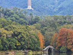-深圳仙湖植物园