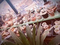 -北马山庄植趣咖啡