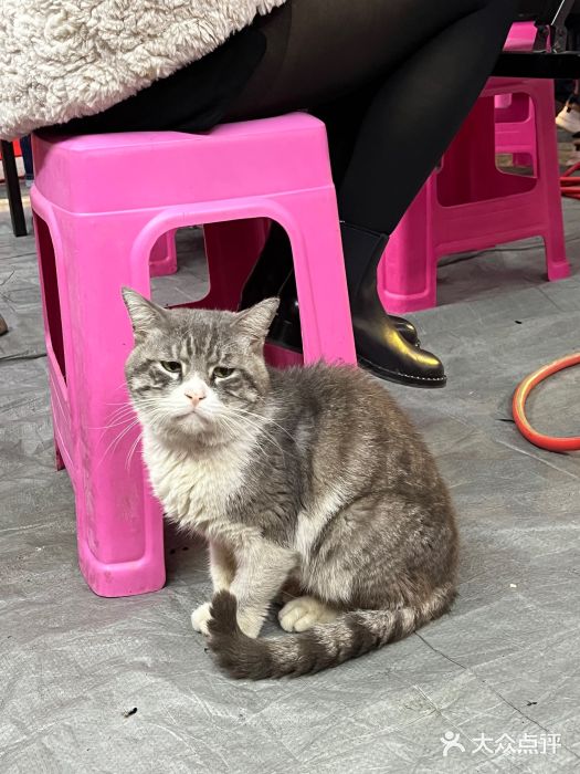 储奇门鳝鱼火锅(总店)图片