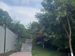-龙头寺公园