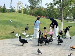 -祥源·阜阳生态乐园