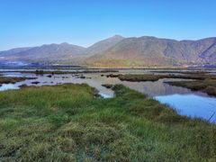-腾冲北海湿地
