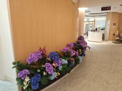 -天津伊美尔医疗整形美容专科医院