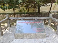 -上海佘山国家森林公园天马山园