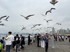 -星海广场