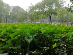 -四川大学(望江校区)