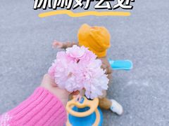 -九里河湿地公园