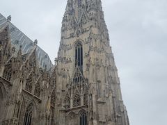 -斯蒂芬主教座堂(Stephansdom)