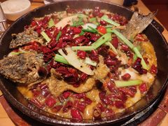 -老板恋上鱼(高新万达店)