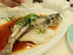 -渔意楼·驰名沙田乳鸽(五羊旗舰店)