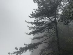 -台州府城(江南长城)