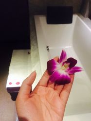-禾颜社·精致美容
