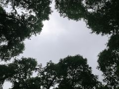 -上海怡沁园度假酒店