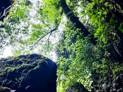 -青城山