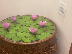 -第六季自助餐厅(北太平庄店)
