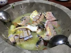 鲟鱼-姚记抚仙湖野生菌石锅鱼庄