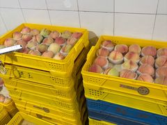 -老袁家蜜桃农场·阳山水蜜桃