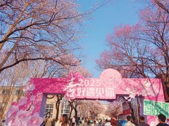 -吉林大学(南岭校区)