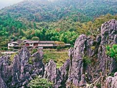 -千岛湖石林