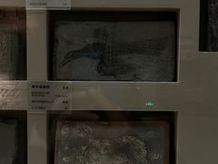 -敦煌市博物馆