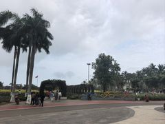 -万绿园