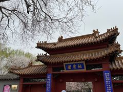 -桃花堤公园